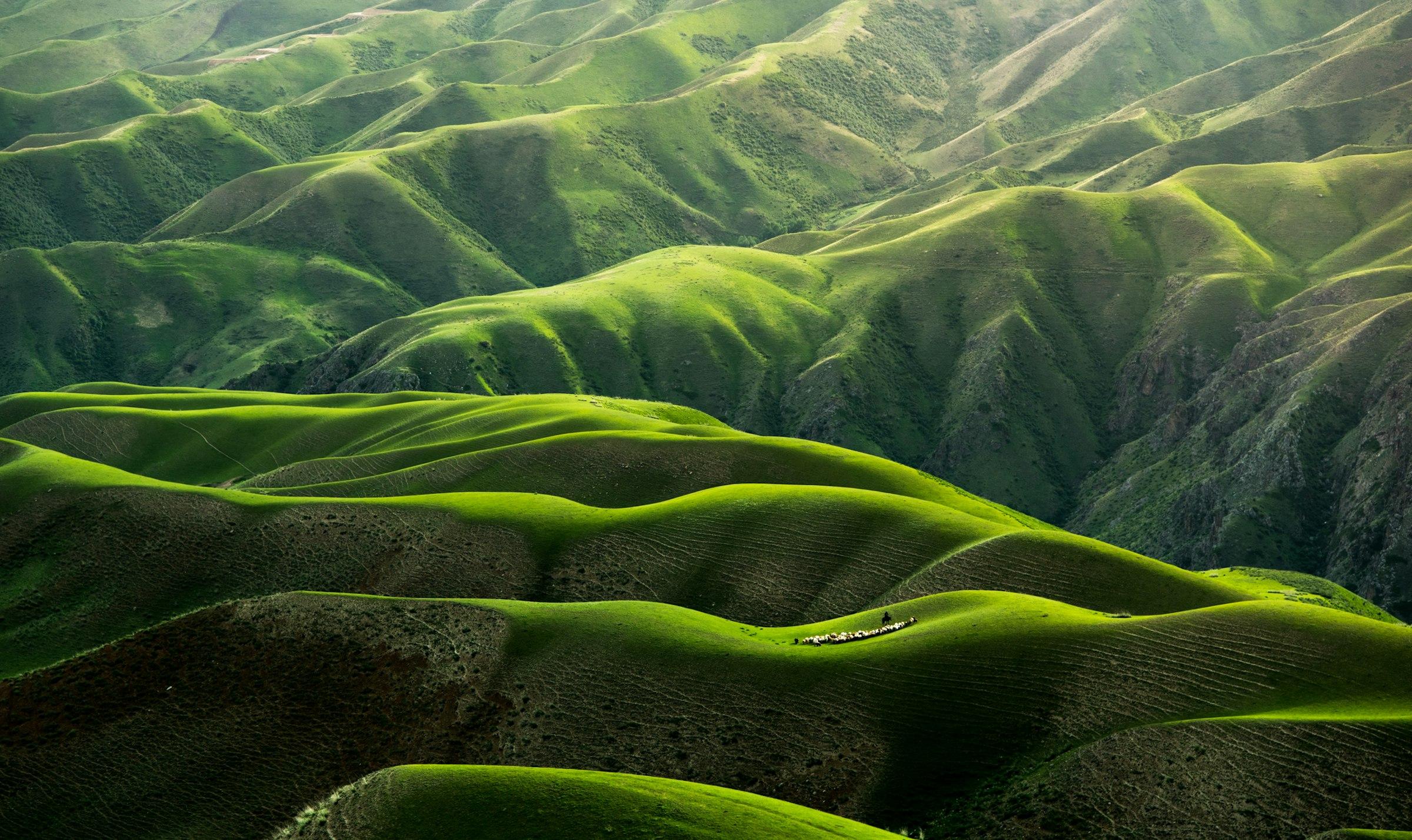 Open green hillside under a pale morning sky